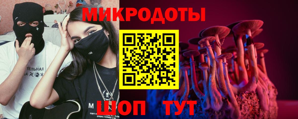 Псилоцибиновые грибы Psilocybe  Вход с VPN  Гагарин 